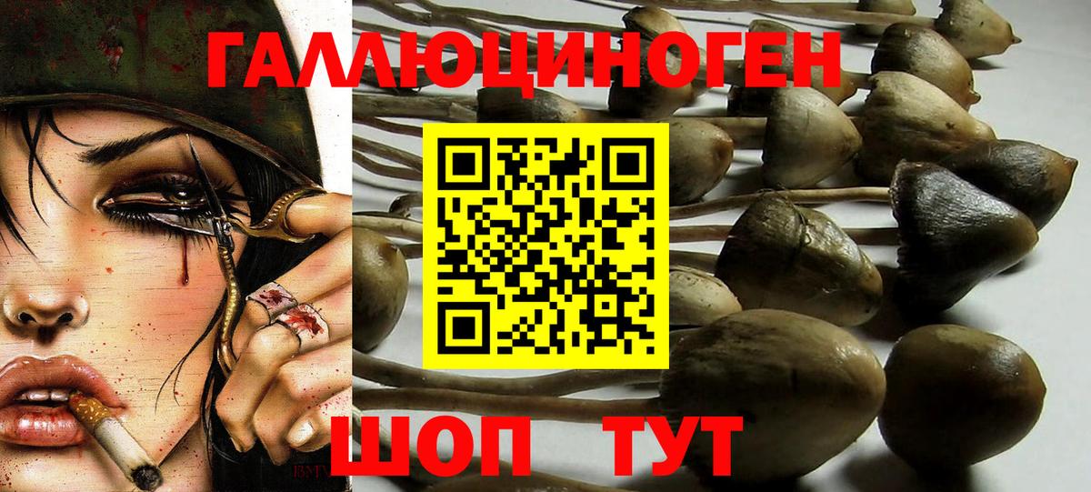 Псилоцибиновые грибы мицелий Топки